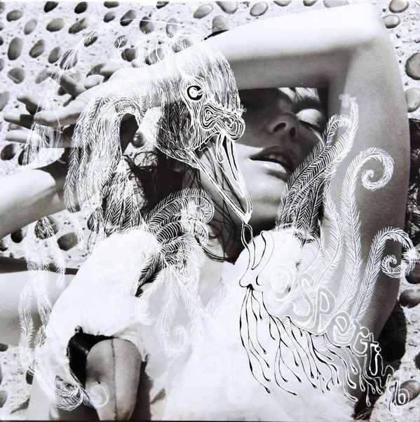 洋楽 Bjork Vespertine Double LP Bjork: Vespertine Vinyl 2LP — TurntableLab.com