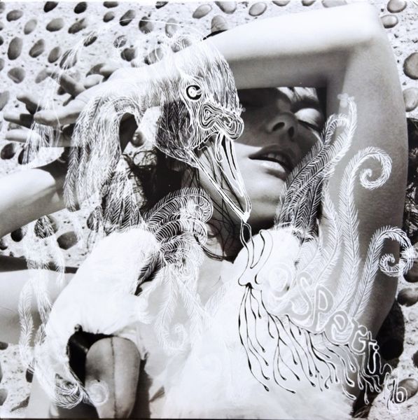 Björk | Vespertine | 2xVinyl (LP, Album, Reissue