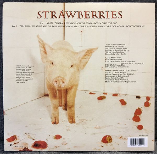 THE DAMNED ストロベリーズ レコード THE DAMNED ストロベリーズ レコード The Damned – Strawberries